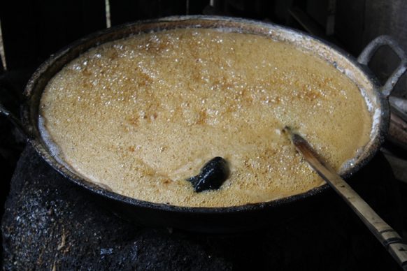 Upaya Peningkatan Pemberdayaan Gula Kelapa