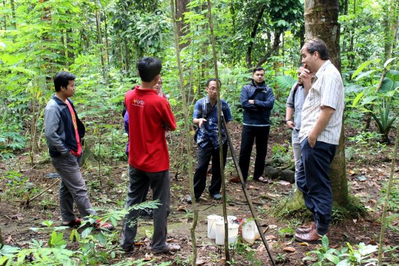 ICS, Salah Satu Cara Menjaga Kualitas Produk Gula Kelapa Organik Agar Tetap Baik