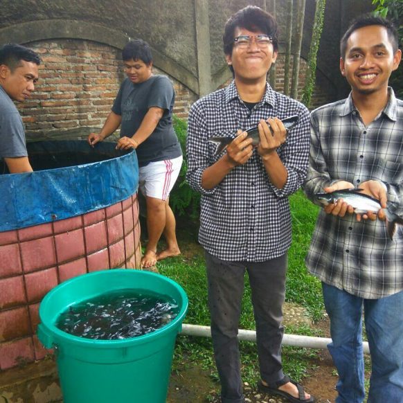LPPSLH Panen Ikan Patin Hasil Budidaya Dengan Teknik Bioflok