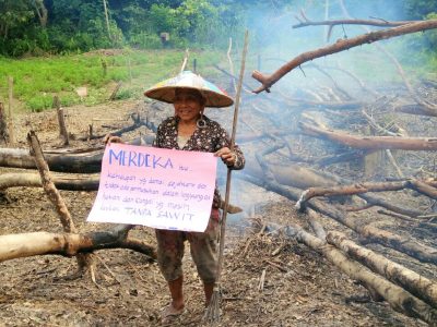 WhatsApp Image 2017-08-11 at 1.45.45 PM (1)