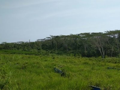 WhatsApp Image 2017-09-11 at 12.11.19