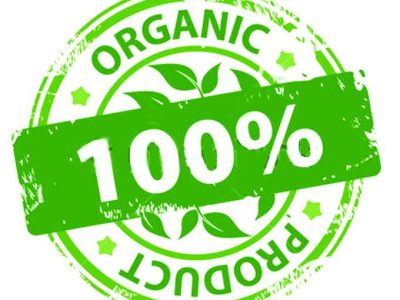 organic product sertifikat organik
