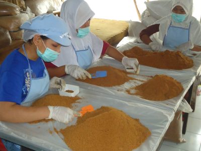 proses sortir gula semut