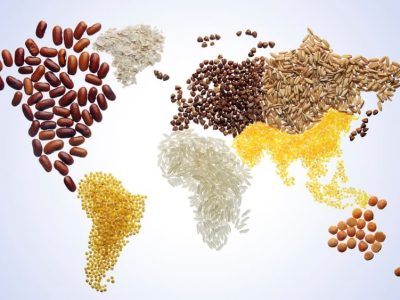 world food day - Hari Pangan Sedunia