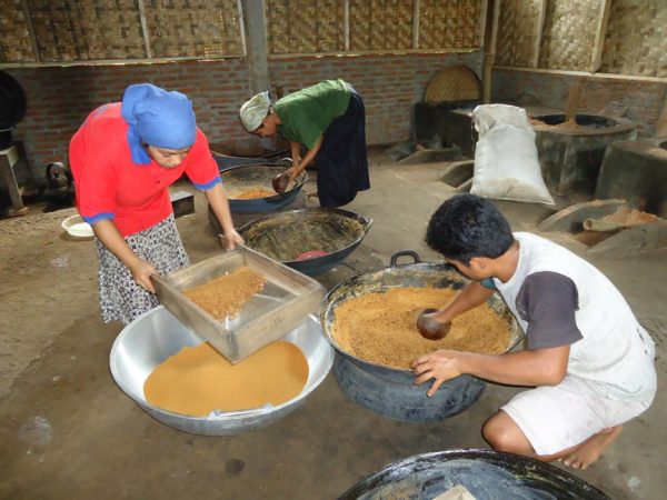 Proses produksi gula semut di Desa Pageraji Kecamatan Cilongok Kabupaten Banyumas